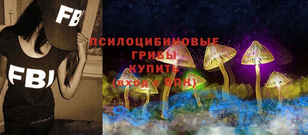 эйфоретик Балахна