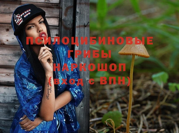 эйфоретик Балахна