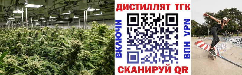 гидра как зайти  Хасавюрт  Дистиллят ТГК гашишное масло  купить наркотики цена 